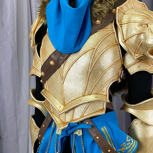 Cirilla based on the artwork Cosplay Costume - In Stock